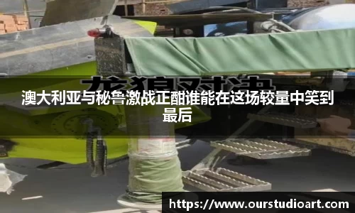 B体育官网