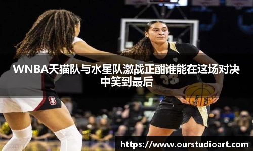 bsports官网入口